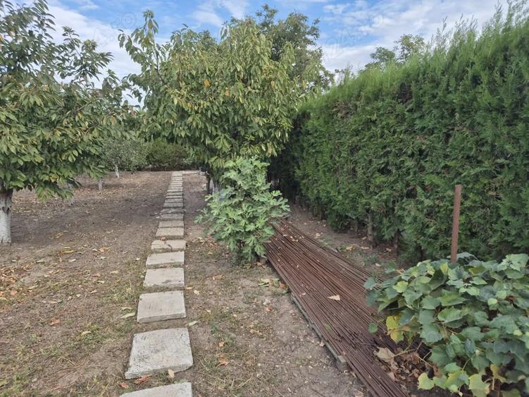 Teren de 845 mp, în Cetatea