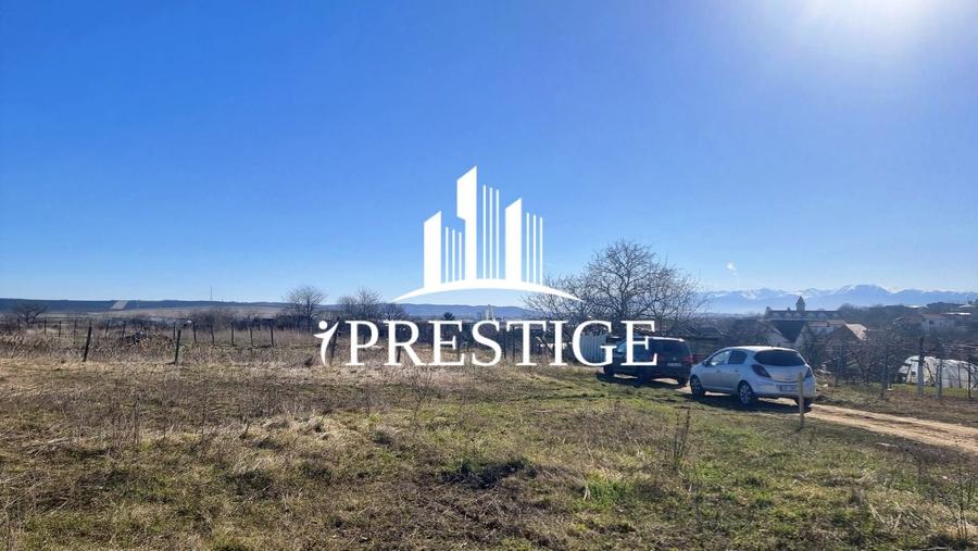 Teren agricol extravilan de 873 mp, în Șura Mică