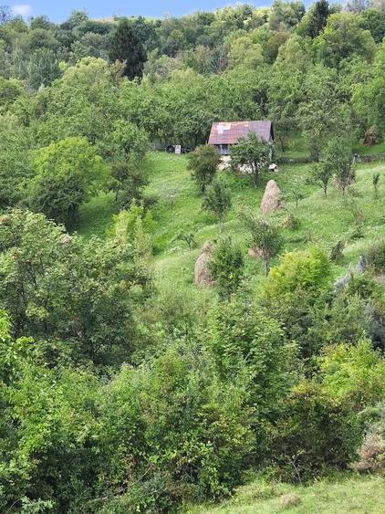 Teren de 5257 mp, în Secăria