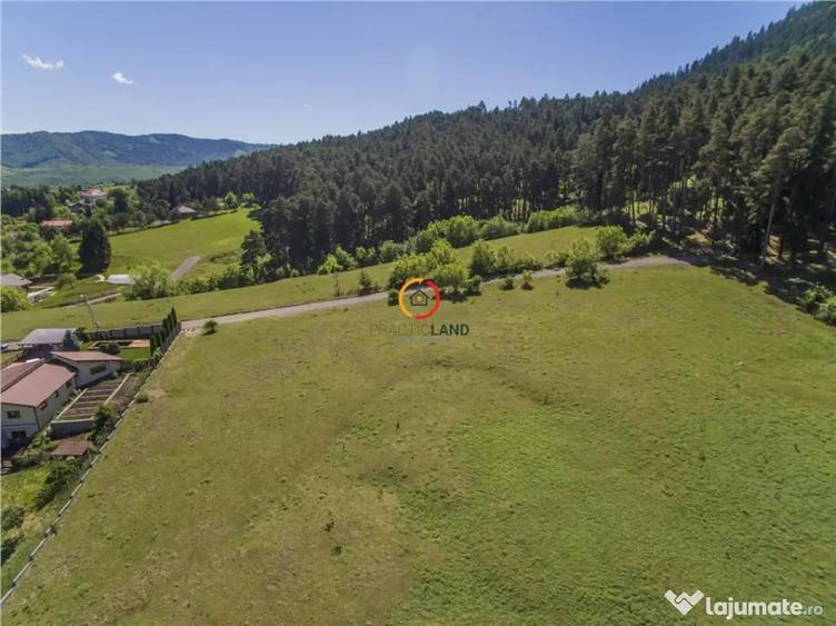 13 locuri de casa-pensiune, segmentul investitional, PUZsiPU - Sacele (Brasov) - 5