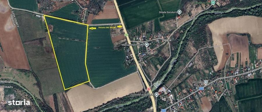 Ciolpani-Ilfov, Teren intravilan-20 ha - 1