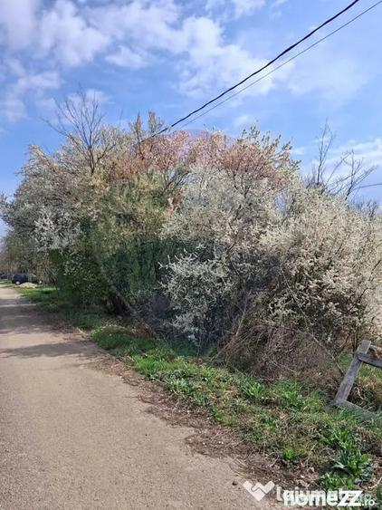 Teren în Santăul Mare