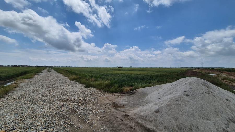 Teren Construcții intravilan de 9545 mp, în Vidra