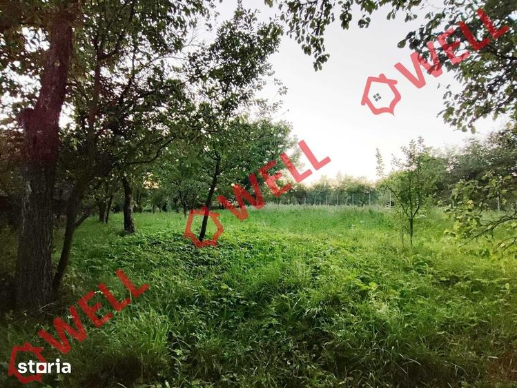 Teren de 1800 mp, în Valea Crișului