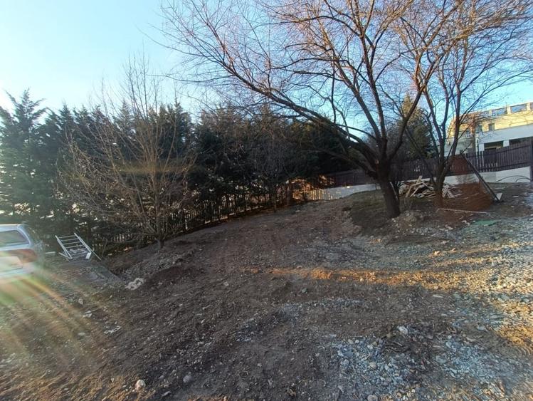Teren Construcții intravilan de 500 mp, în Luna de Sus