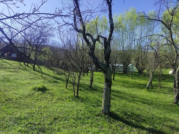 Teren de 1506 mp, în Drajna