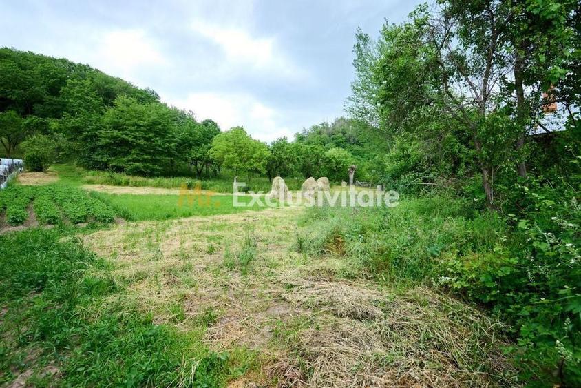 Casă cu 3 camere cu Teren 4696 Mp în Central