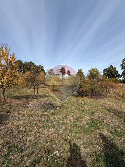 Teren agricol extravilan de 13340 mp, în Giulești