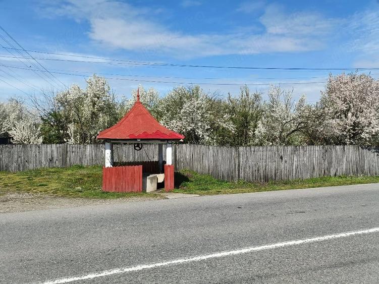 Teren de 544 mp, în Jiana