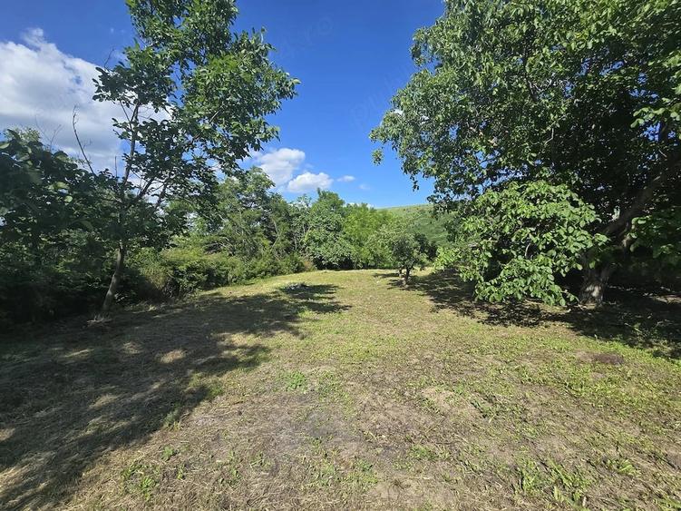 Casă cu Teren 14000 Mp în Bohotin