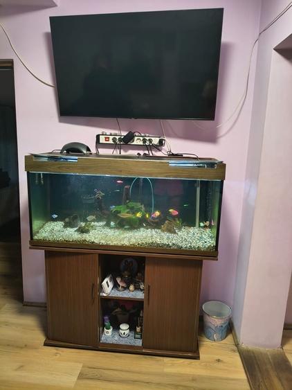 Casă individuală cu 2 camere cu Canalizare în Nufărul