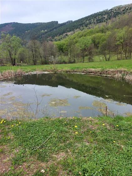 Teren agricol intravilan de 4719 mp, în Bulz
