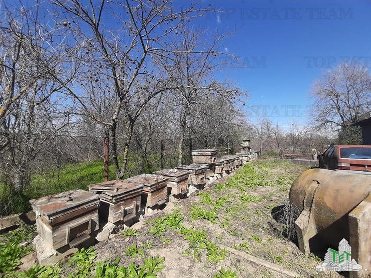 Teren Construcții intravilan de 4000 mp, în Vârteju