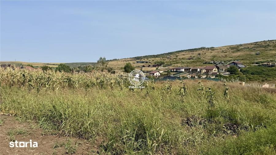 Teren Intravilan 700 mp in Dorobant, Aroneanu Toate Utilit - 1