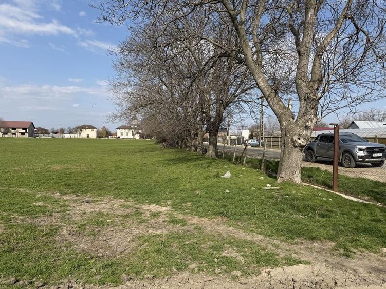 Teren de 130000 mp, în Armeni