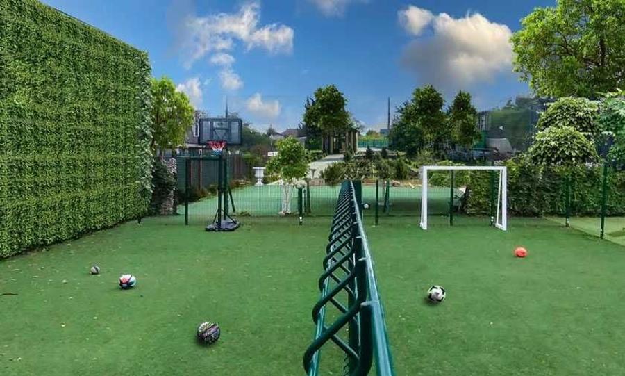 Casă cu 3 camere cu Teren 3900 Mp în Mogoșoaia