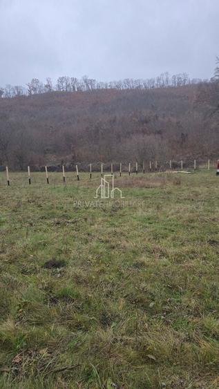 Teren agricol extravilan de 20 mp, în Daneș