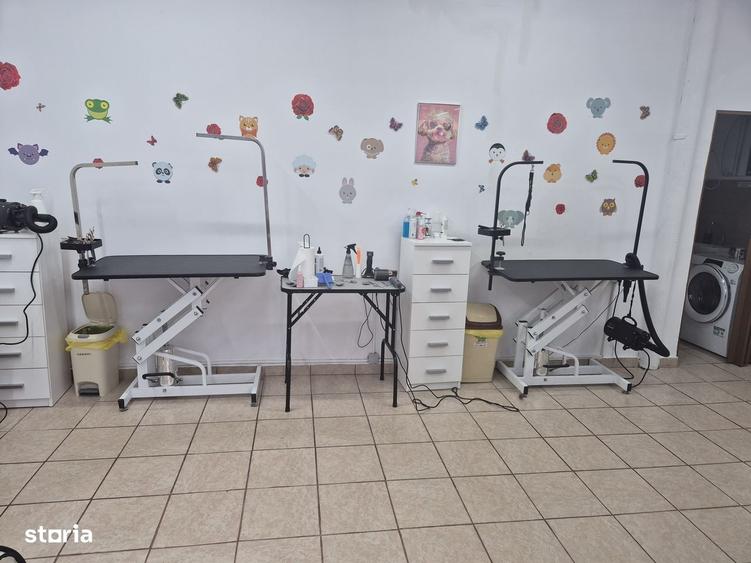 Spațiu comercial, de 45 mp, în Exterior Vest