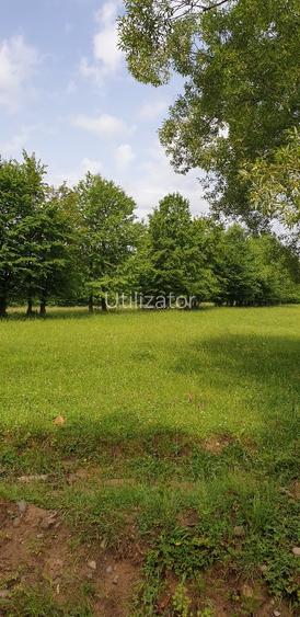 Teren agricol extravilan de 5000 mp, în Central