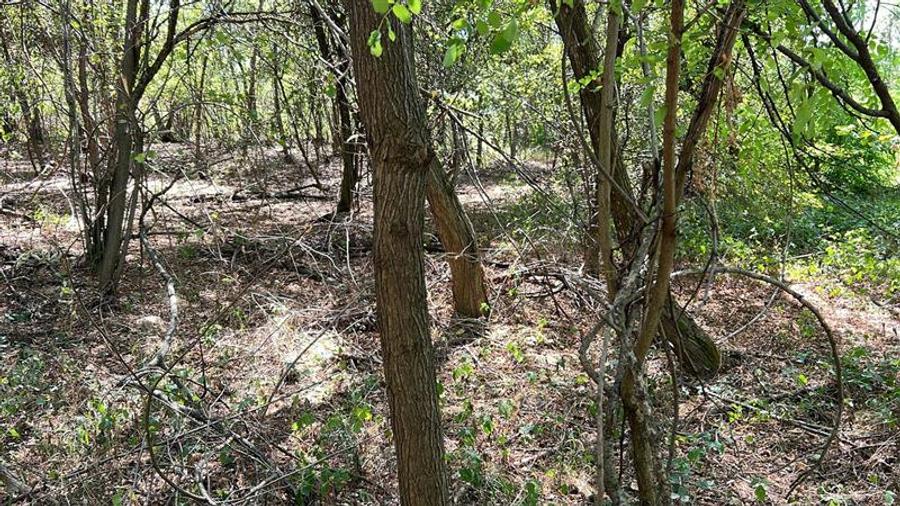 Teren extravilan de 3600 mp, în Bradu