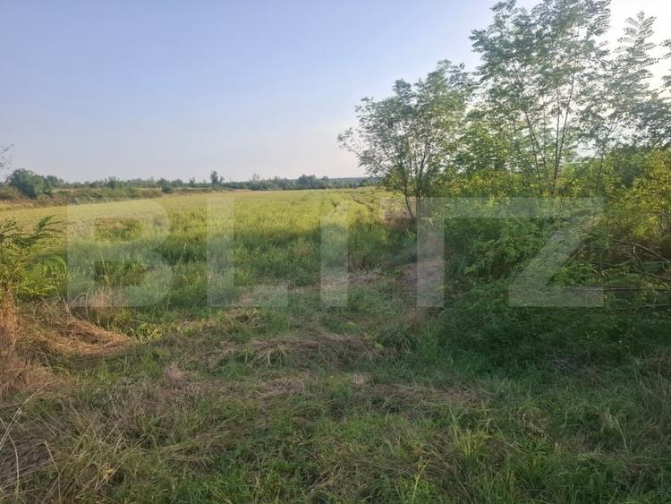 Teren Construcții extravilan de 5000 mp, în Viișoara