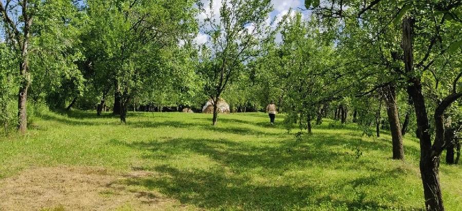 Teren de 2500 mp, în Măneciu