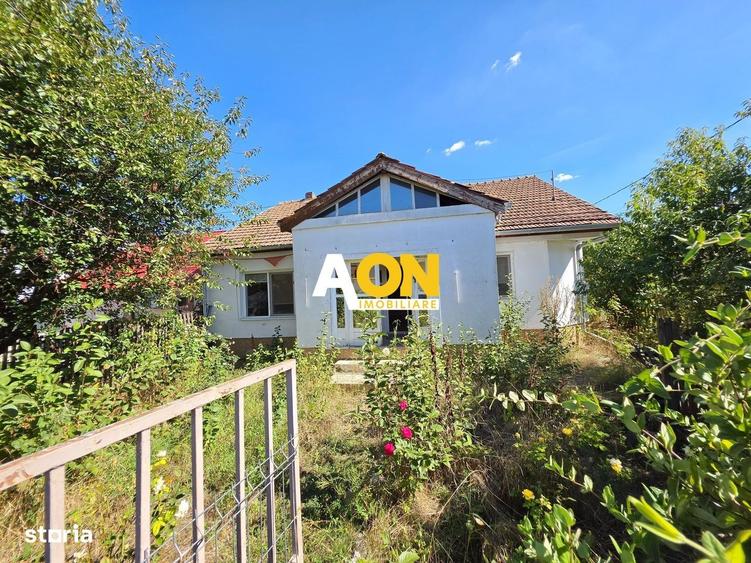 Casa individuala 3 camere, 323 mp teren, Centru, zona Lipoveni - 1