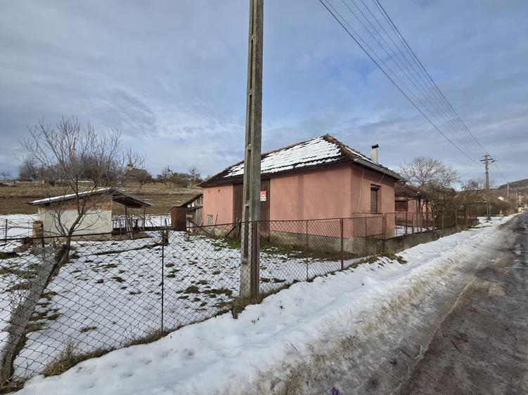 Casă cu 4 camere în Valea Crișului