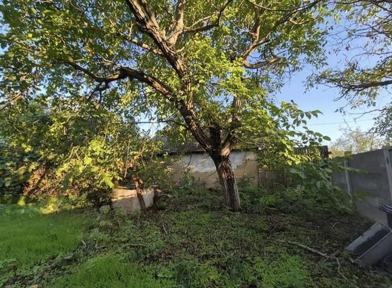 Casă cu 3 camere în Macedonia