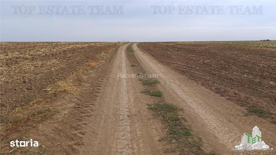 Oferim spre vanzare 6 loturi de teren extravilan (agricol) in Petrachi