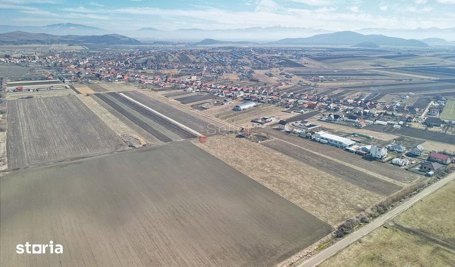 Teren de 14200 mp, în Bod