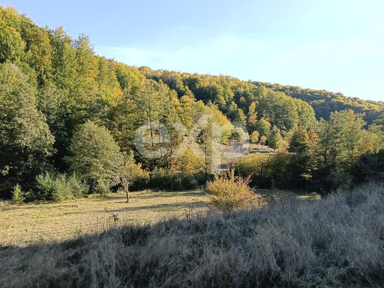 Teren Construcții extravilan de 3700 mp, în Vulturești