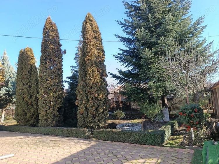 Casă cu 6 camere cu Teren 900 Mp în Pucioasa