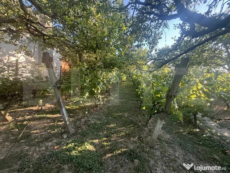 Casă cu 2 camere cu Teren 1021 Mp în Viile Satu Mare