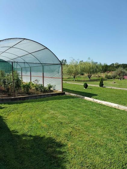 Casă cu 4 camere cu Teren 1200 Mp în Obreja