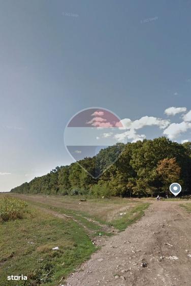 Teren intravilan 988mp | Cocani, Dambovi?a - 2