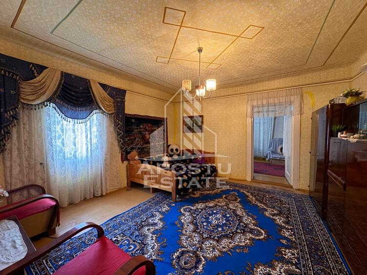 Casa batraneasca + Constructie la rosu, in sat Pesac, judetul Timis - 31