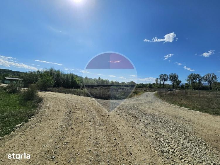 Teren de 3000 mp, în Bocicoiu Mare