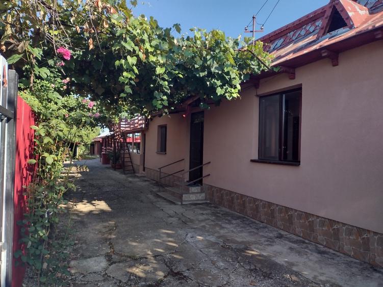 Casă individuală cu 5 camere cu Teren 1800 Mp în Teslui