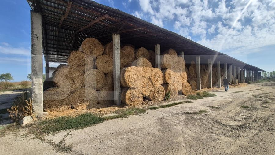 Spațiu industrial, de 1,800 mp, în Lazuri