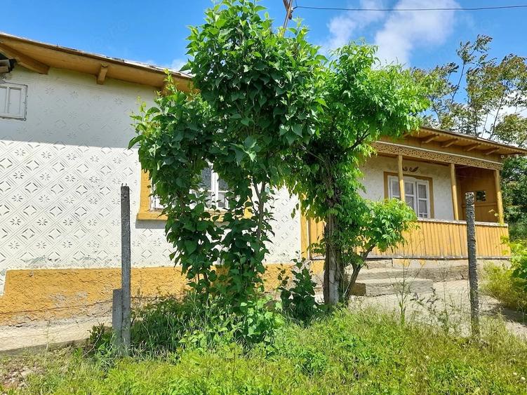 Casă cu Teren 1470 Mp în Fântânele
