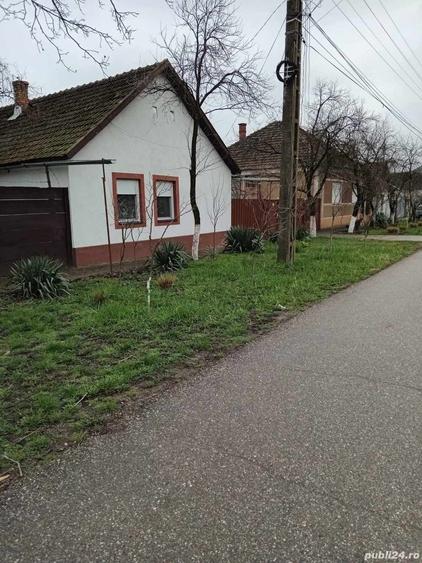Casă cu 6 camere cu Teren 2984 Mp în Chișineu-Criș
