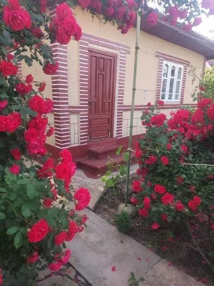 Casă cu Teren 931 Mp în Gheorghe Doja