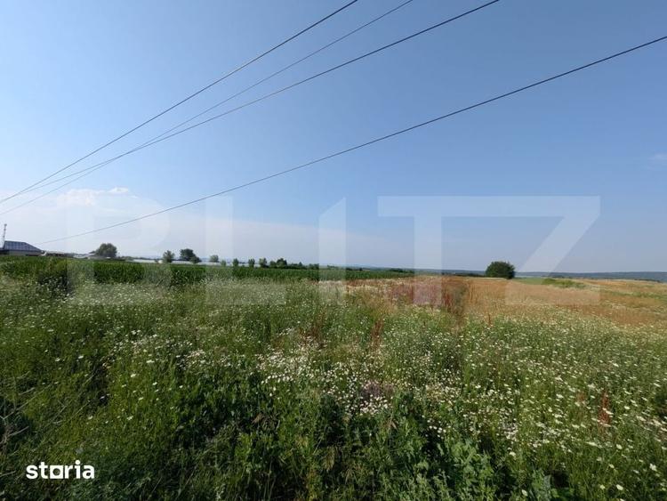 Teren de 3000 mp, în Comișani