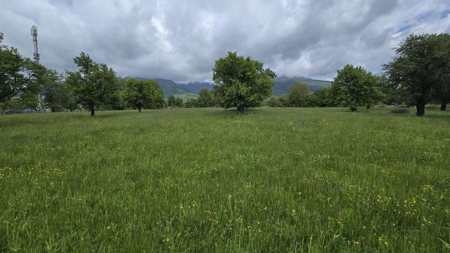 Teren Construcții intravilan de 715 mp, în Prundu Bârgăului