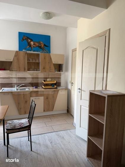 Apartament cu o camera si terasa, curte comuna, Zona Steaua - 275 euro - 7