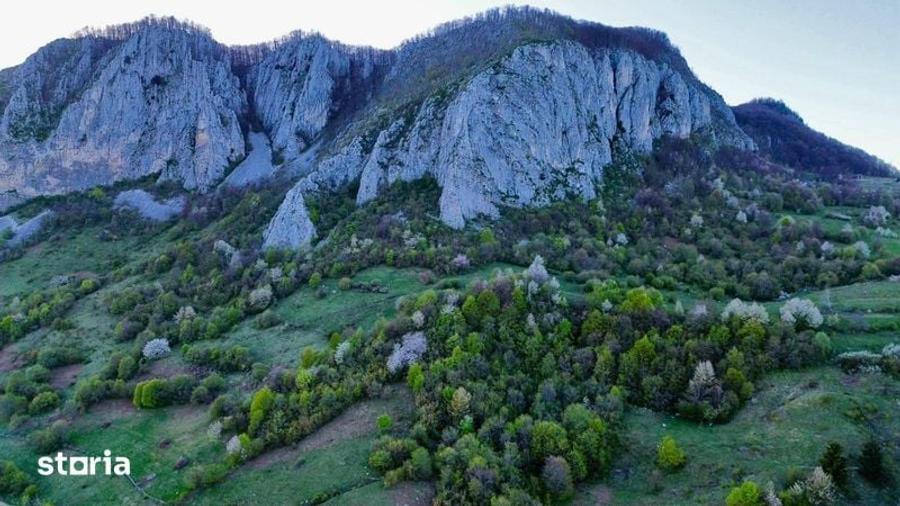 Teren de 35000 mp, în Ciuruleasa