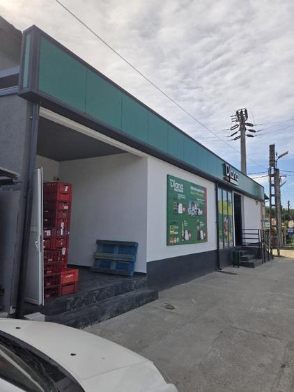 Casă cu 2 camere cu Teren 2100 Mp în Buzdugan