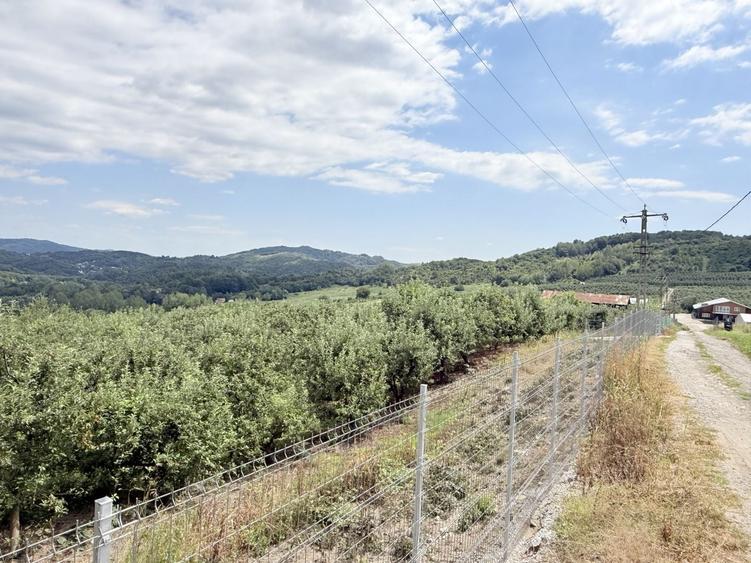 Teren Construcții intravilan de 2721 mp, în Valea Târsei