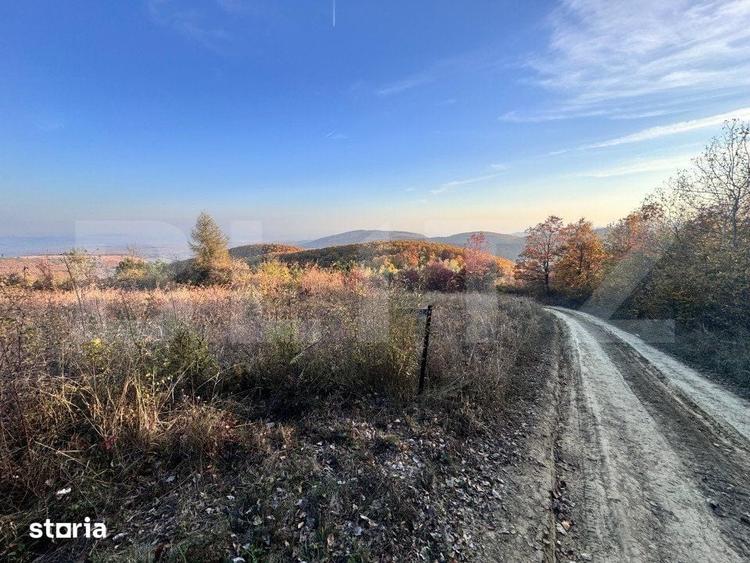 Teren de 5300 mp, în Râmeț